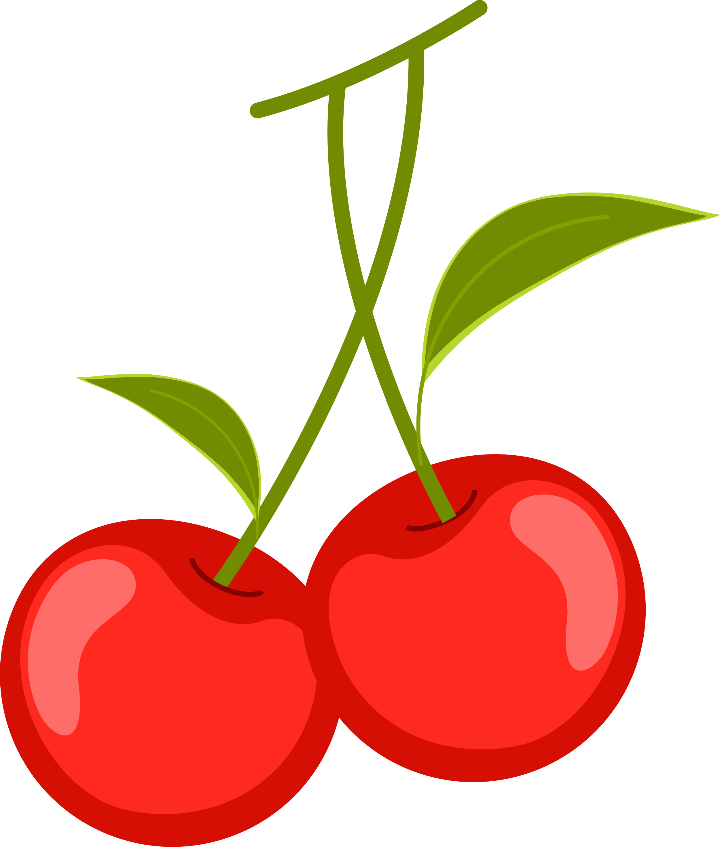 Premium PSD  Cherry fruit fruit, two cherries on a white background png  clipart